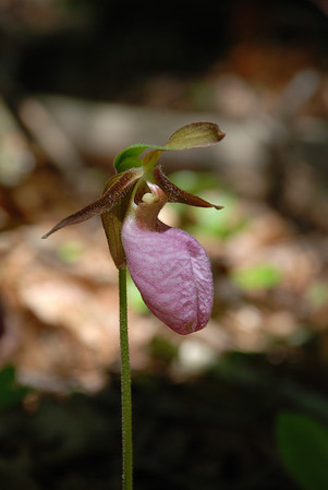 879300105_3uHfU-M.jpg