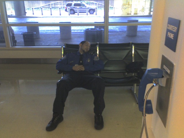 Tsaempsleeping.jpg