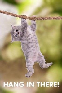 Hang In There! Cat Retro Motivational Poster - 24x36