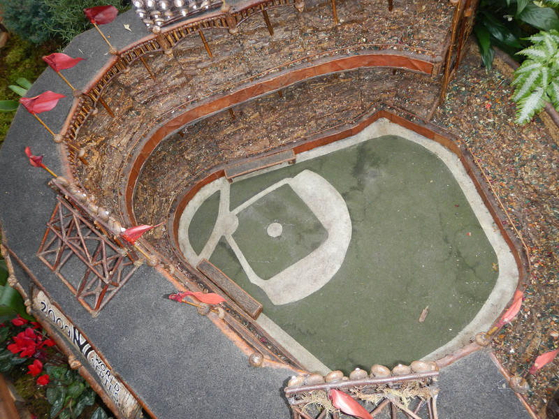 DSCN9566-L.jpg