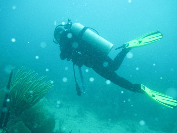 p967452184-3.jpg