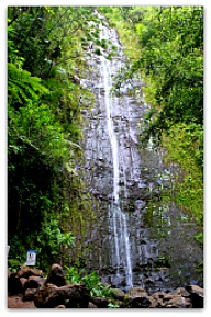 192x289xManoa-Falls-1.jpg.pagespeed.ic.kecfXes3p3.jpg