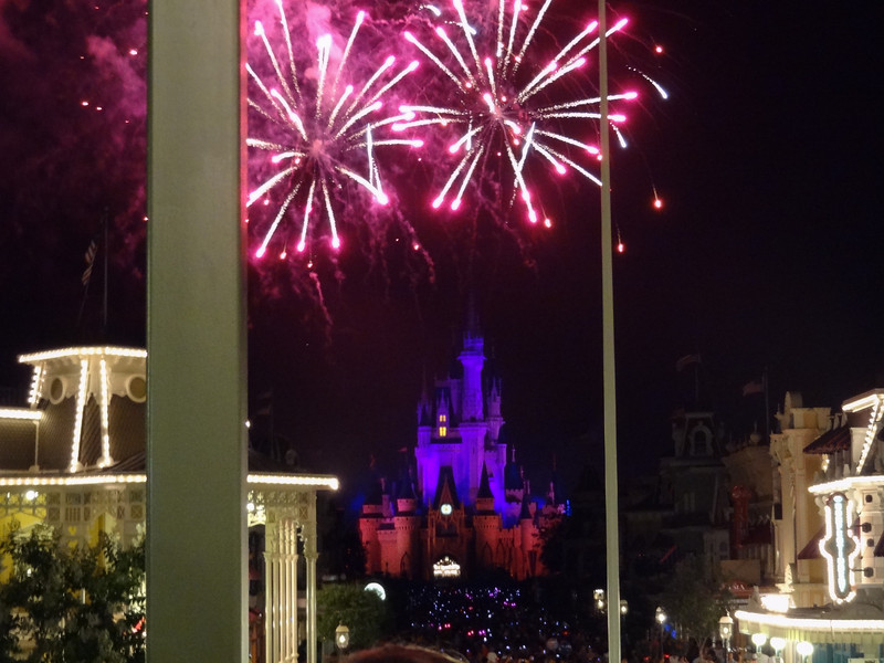 DSC01947-L.jpg
