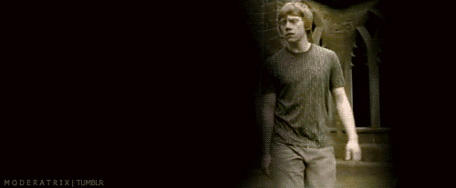 tumblr_lsx3iaEN7V1qfvtsro2_500.gif