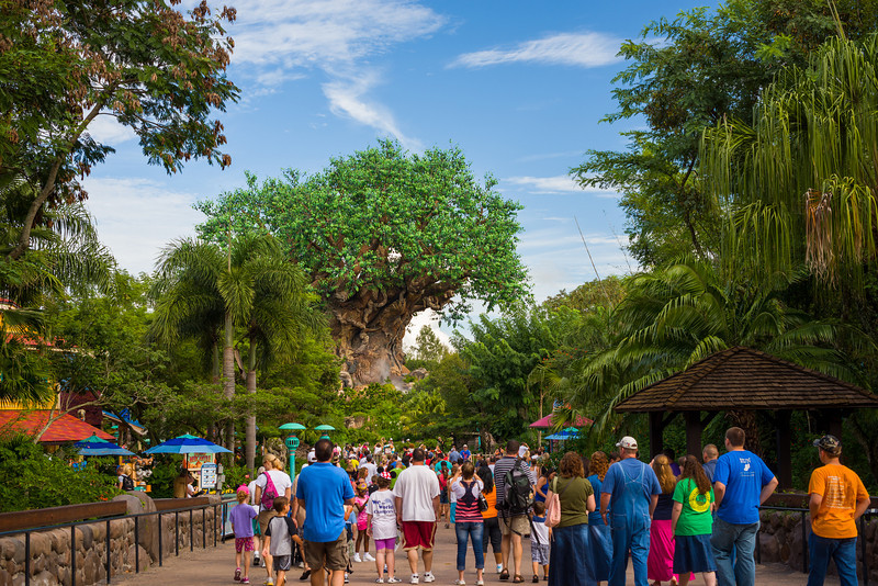 DSC_1622-L.jpg