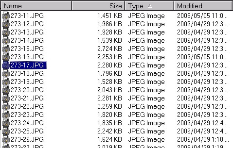jpg-size.jpg