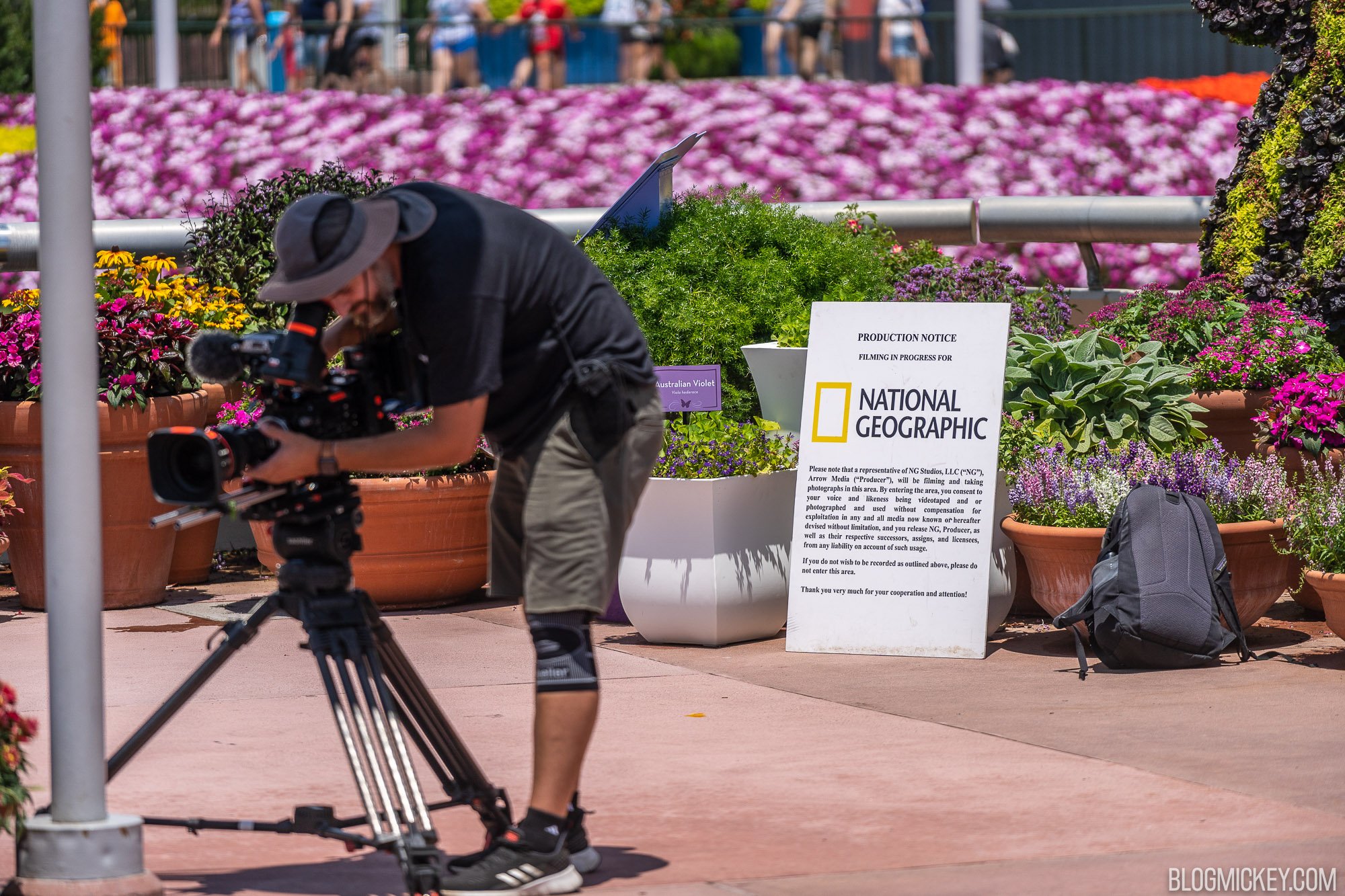 national-geographic-filming-epcot-2.jpg