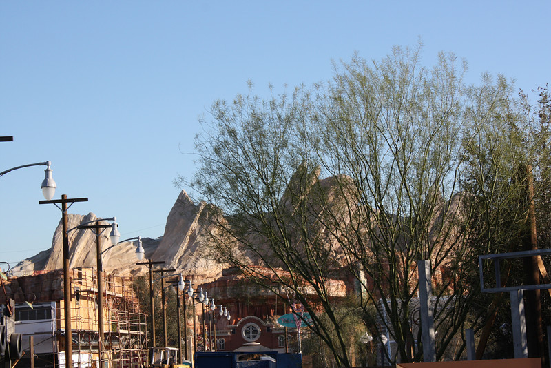 IMG0301-L.jpg