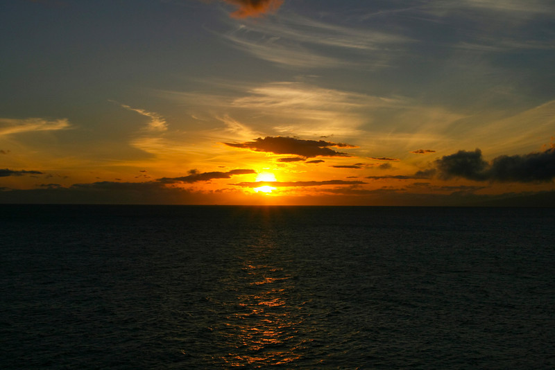 294923929_8k5o9-L.jpg