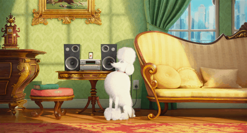 tumblr_nq9jqlLfrJ1siznydo1_500.gif