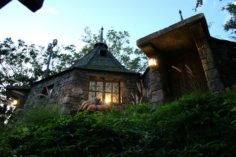 1093343452_gv8Eb-L.jpg