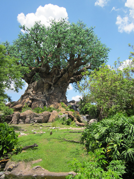 IMG0228-L.jpg