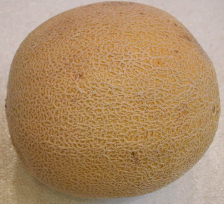 i-cantaloupe2.jpg