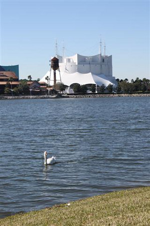 561006003_ocw2J-M.jpg