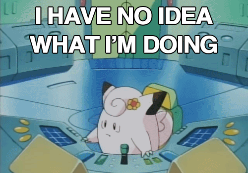 I-have-no-idea-what-Im-doing.gif