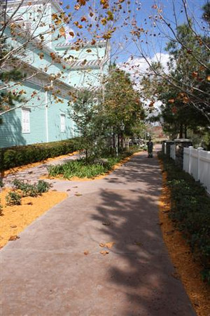 561029012_ifces-M.jpg
