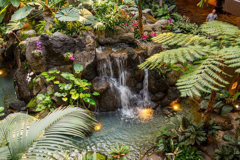 DSC_2211-L.jpg