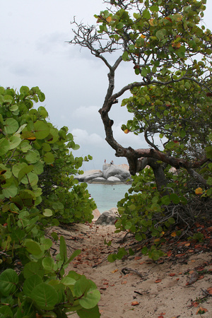 p826692182-3.jpg
