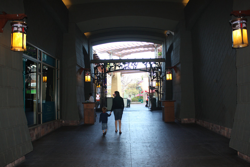 IMG9104-L.jpg