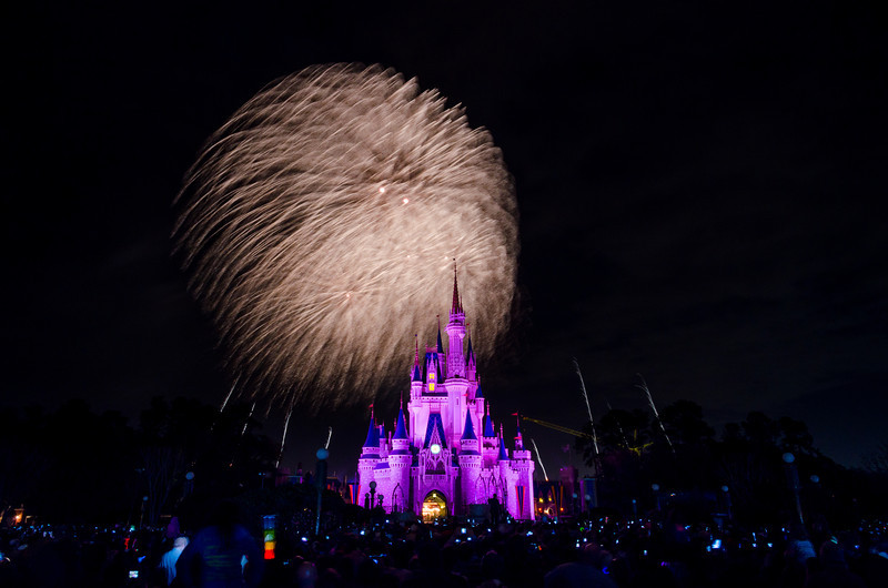 DSC1840-L.jpg