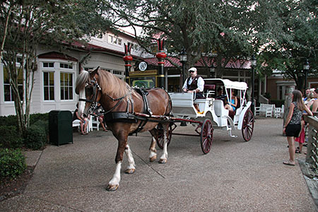 POR-Main-2008-6983_small.jpg