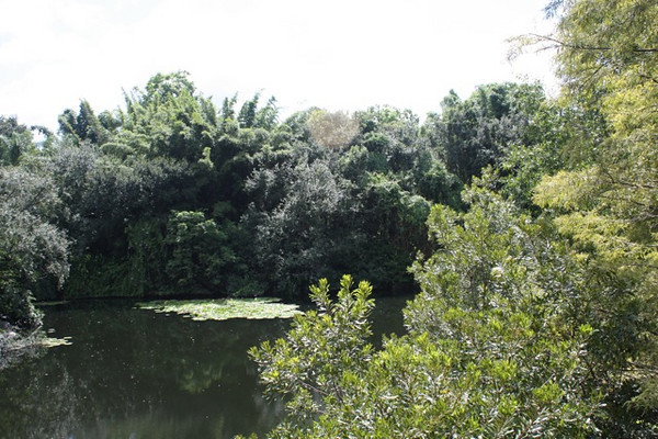643606205_46bWr-M.jpg