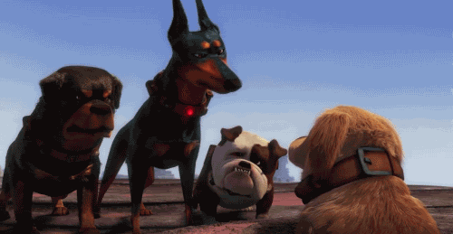 tumblr_lvkjxzCXFy1qiol6o.gif