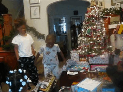 giphy.gif