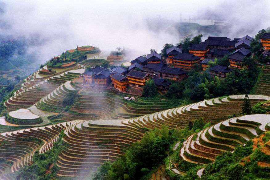 longji-rice-terrace-04.jpg