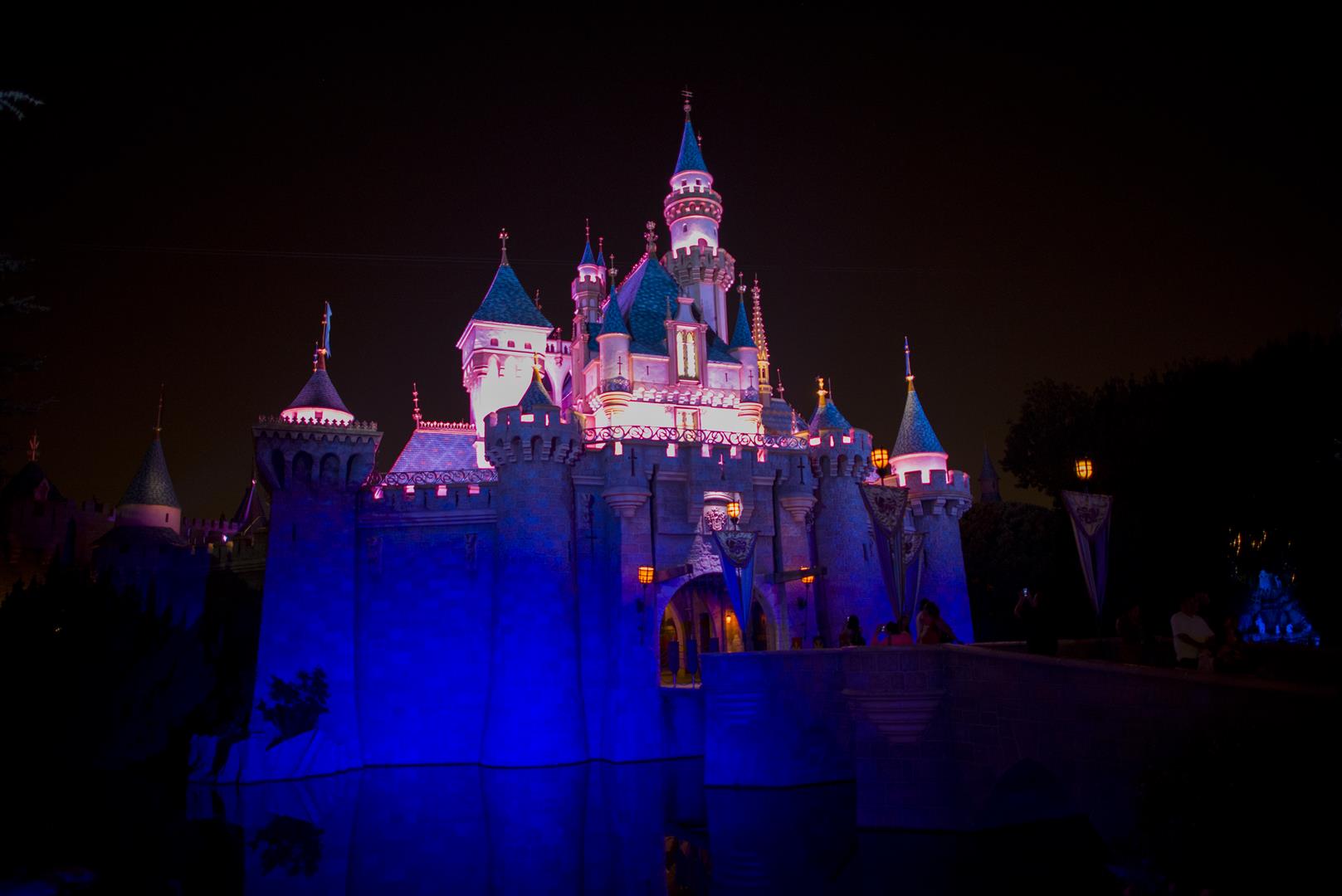 DSC_9178%20(Large).jpg