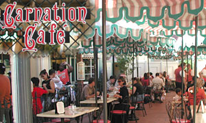 CarnationCafeDinLowBand.jpg