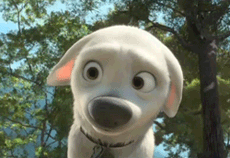 tumblr_lq19ytqW8O1qlhteao1_250.gif