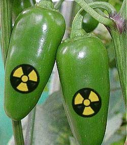 jalapenos.jpg