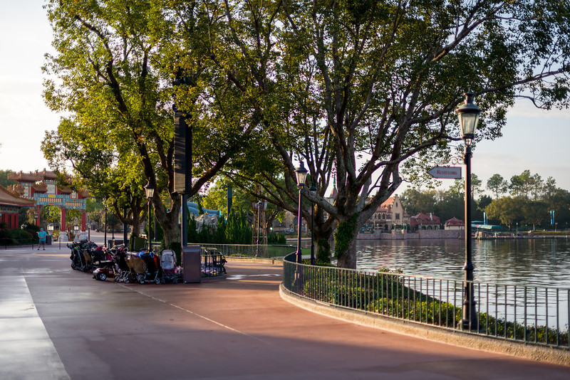 DSC_6320-L.jpg