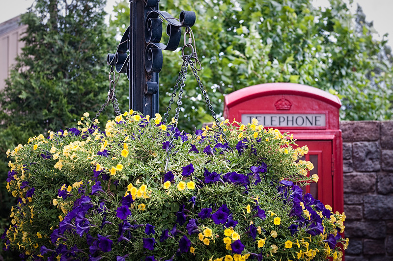 DSC9053-Edit-L.jpg