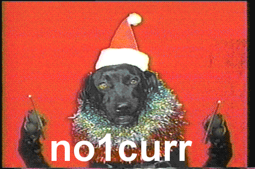 tumblr_lulj752Isc1qdqfem.gif