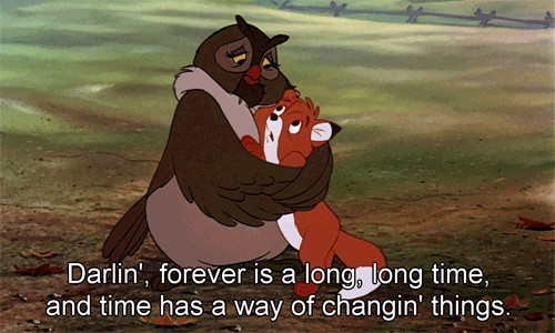tumblr_m3km30r5bQ1qg252jo1_500.gif
