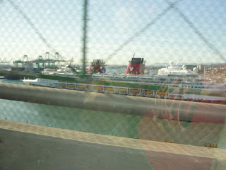DSC08536.JPG