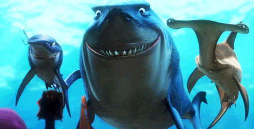 tumblr_lsz9dtWAtu1qloekno1_500.gif
