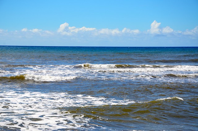 8165881673_04aab3487d_z.jpg