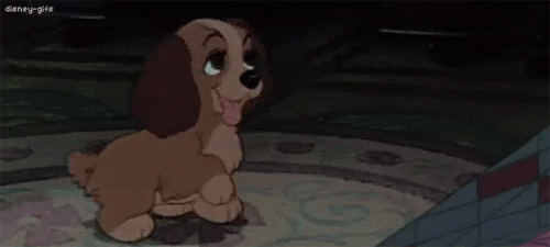 tumblr_lk7zgqnHP41qg64aho1_500.gif