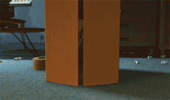 Woodie-Coming-out-of-a-box.gif