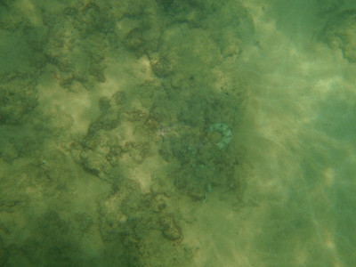 592933540_TfmdD-S.jpg