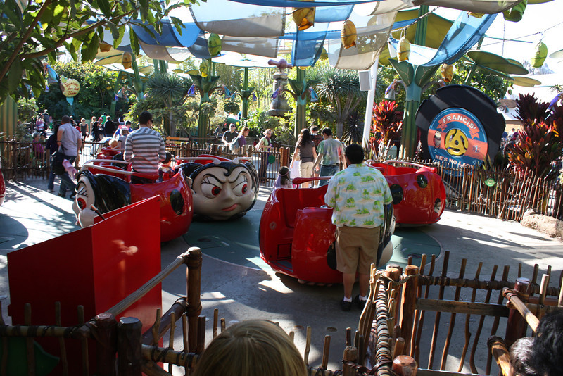 IMG0204-L.jpg