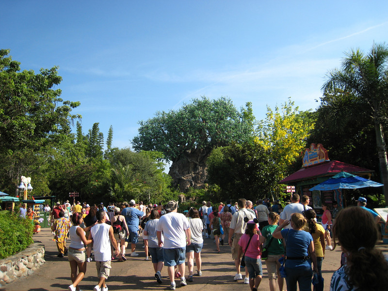 322071787_csDhh-L.jpg
