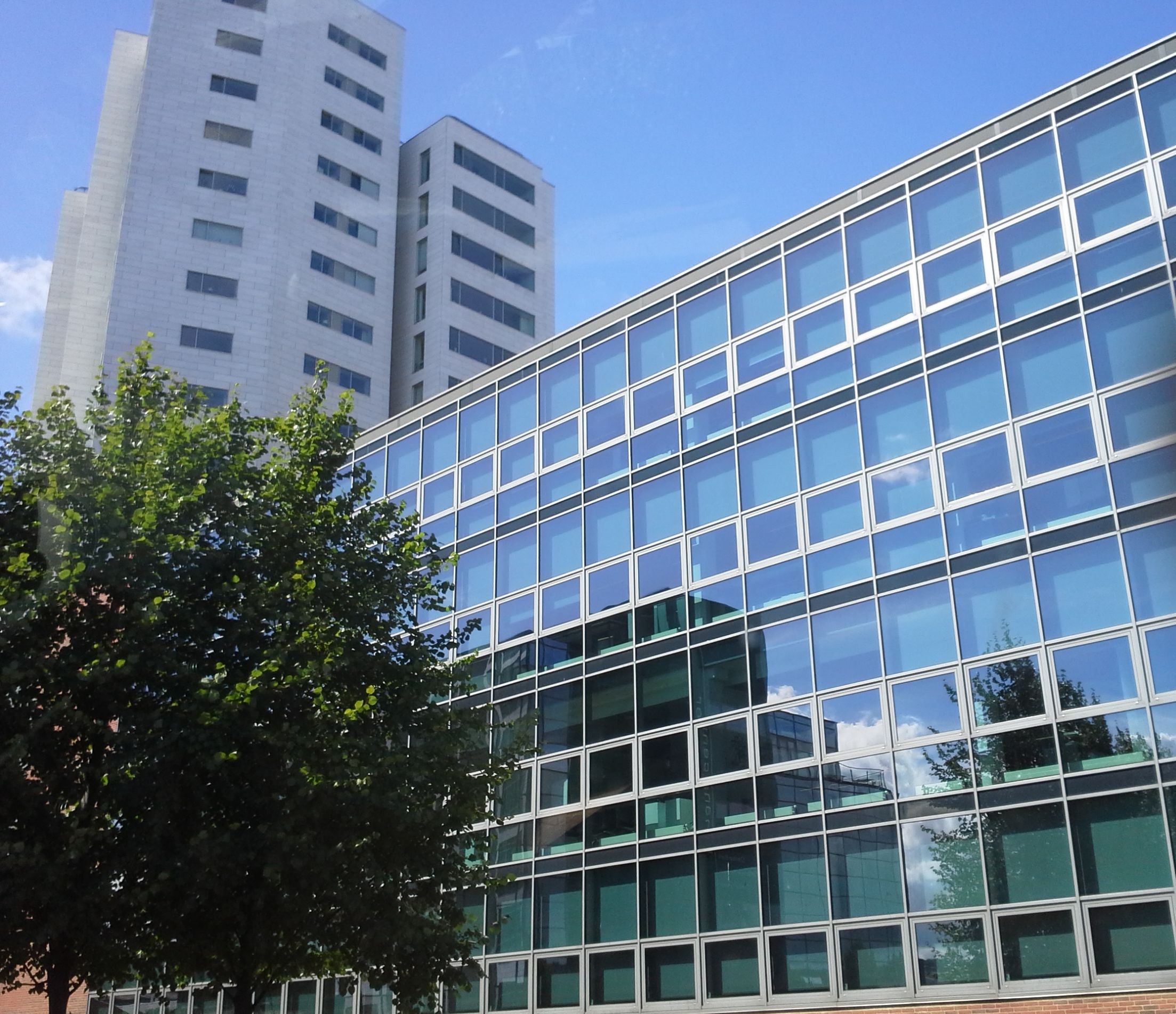 20160805-115346.jpg