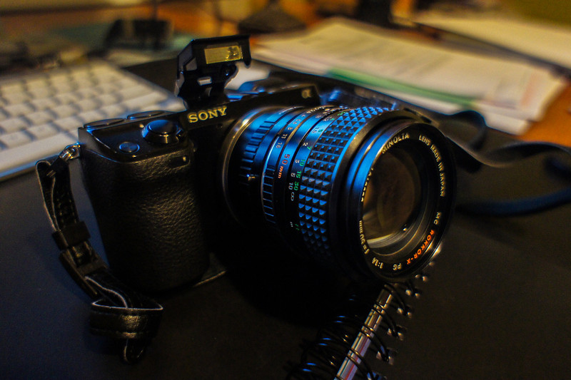 DSC09779-L.jpg