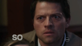 tumblr_lgj4fbPmH51qafrh6.gif
