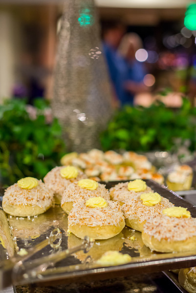 DSC_0518-L.jpg
