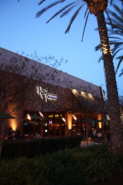 IMG0368-L.jpg